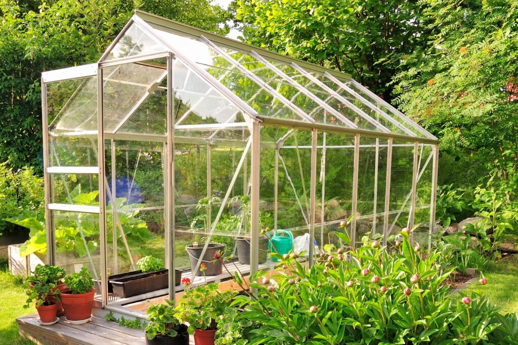 what to plant in a greenhouse in summer